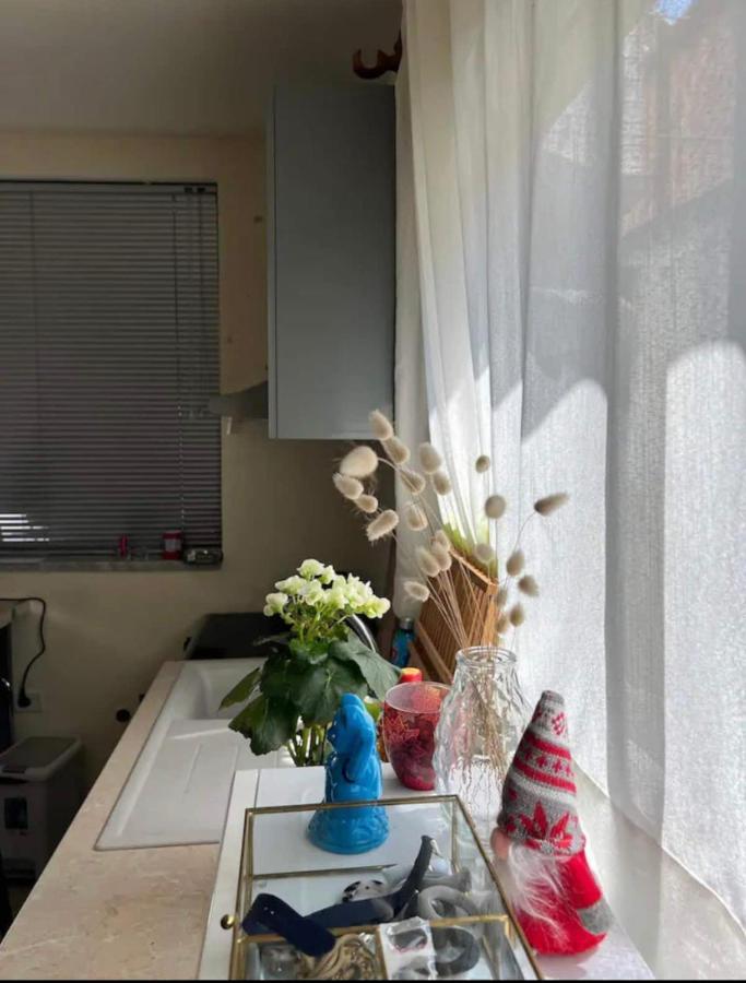 Brilant Studio Apartment City Center Tirana Bagian luar foto